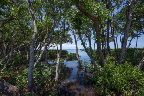 Terreno en venta en Saint Petersburg, Florida № 1856662 - foto 17