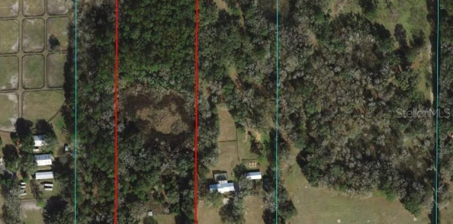 Villa ou maison à Reddick, Floride 3 chambres, 80.27 m2 № 2212971