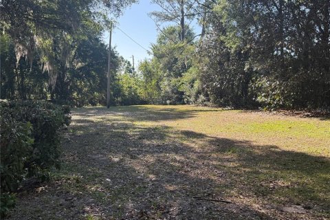 Villa ou maison à vendre à Reddick, Floride: 3 chambres, 80.27 m2 № 2212971 - photo 4