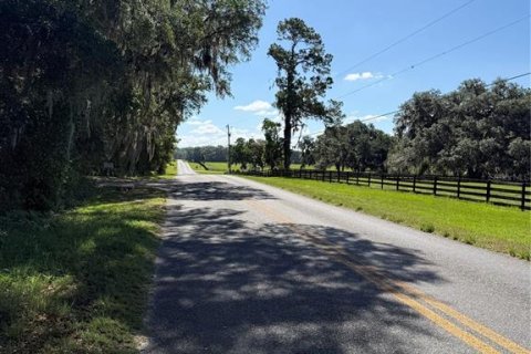 Villa ou maison à vendre à Reddick, Floride: 3 chambres, 80.27 m2 № 2212971 - photo 13