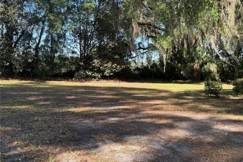 Villa ou maison à vendre à Reddick, Floride: 3 chambres, 80.27 m2 № 2212971 - photo 10