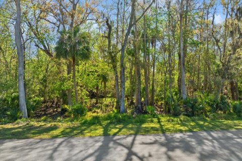 Terreno en venta en Palm Coast, Florida № 1571547 - foto 1