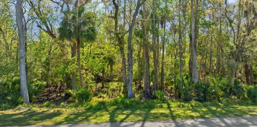 Terreno en Palm Coast, Florida № 1571547