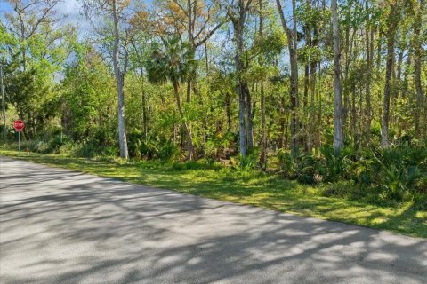 Terreno en venta en Palm Coast, Florida № 1571547 - foto 3