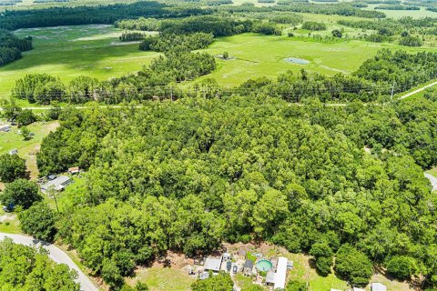 Terreno en venta en Lakeland, Florida № 2229789 - foto 4
