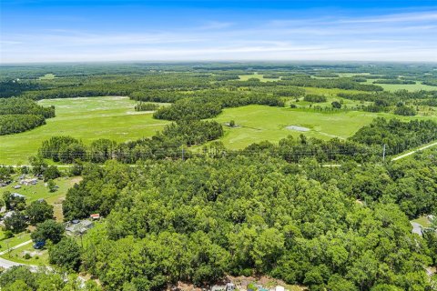 Terreno en venta en Lakeland, Florida № 2229789 - foto 3