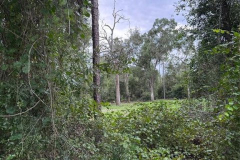 Terrain à vendre à Webster, Floride № 1879428 - photo 6