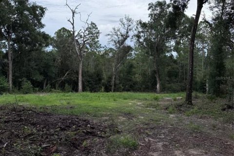 Terrain à vendre à Webster, Floride № 1879428 - photo 5