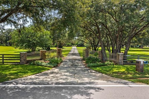 House in Haines City, Florida 5 bedrooms, 477.52 sq.m. № 424948 - photo 3