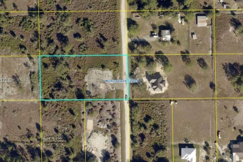 Купить земельный участок в Клуистон, Флорида № 2017493 - фото 3