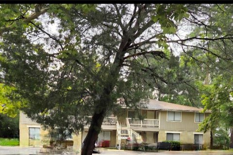 Appartement à louer à Gainesville, Floride: 1 chambre, 55.74 m2 № 1858341 - photo 1