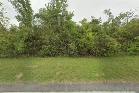 Land in Marianna, Florida № 2163904 - photo 9