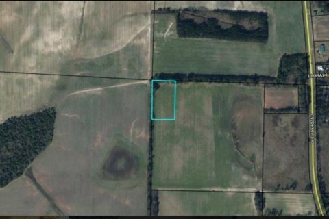 Land in Marianna, Florida № 2163904 - photo 2