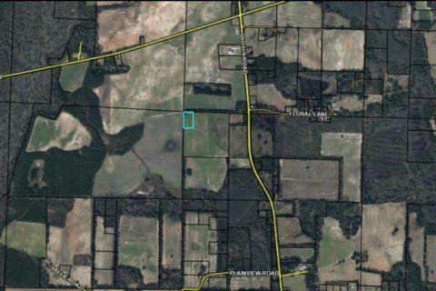Land in Marianna, Florida № 2163904 - photo 4