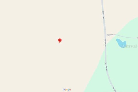 Land in Marianna, Florida № 2163904 - photo 5