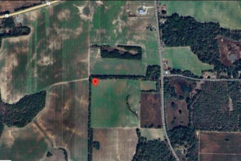 Land in Marianna, Florida № 2163904 - photo 6