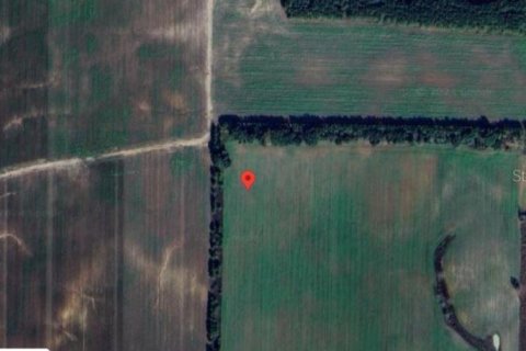 Land in Marianna, Florida № 2163904 - photo 8