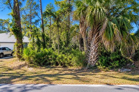 Land in Palm Coast, Florida № 2400321