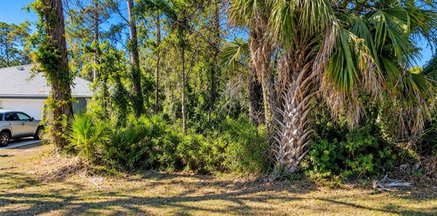 Land in Palm Coast, Florida № 2400321