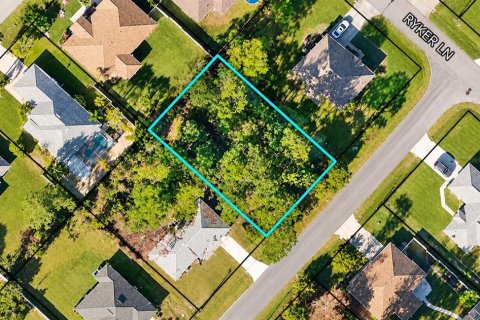Land in Palm Coast, Florida № 2400321 - photo 2