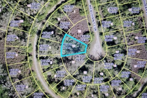Land in Lehigh Acres, Florida № 1865282 - photo 1