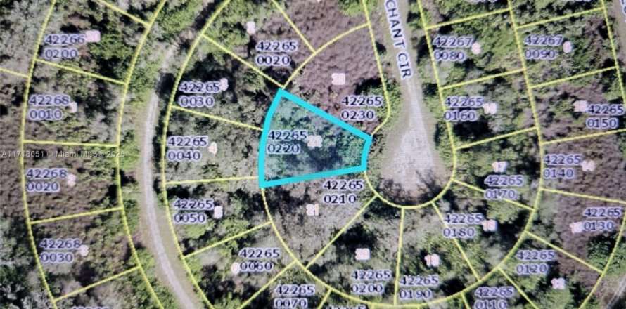 Land in Lehigh Acres, Florida № 1865282