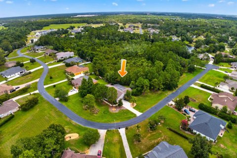 Villa ou maison à vendre à Wesley Chapel, Floride: 4 chambres, 288.37 m2 № 2133712 - photo 2