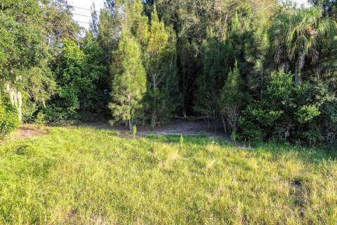 Land in Davenport, Florida № 1385535 - photo 17