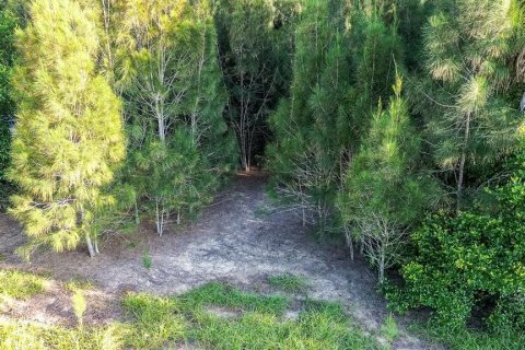 Land in Davenport, Florida № 1385535 - photo 18