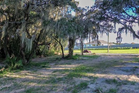 Land in Davenport, Florida № 1385535 - photo 11