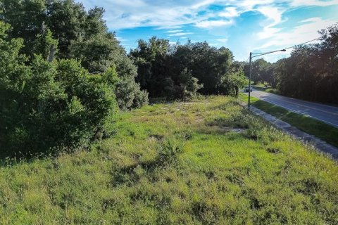 Land in Davenport, Florida № 1385535 - photo 16