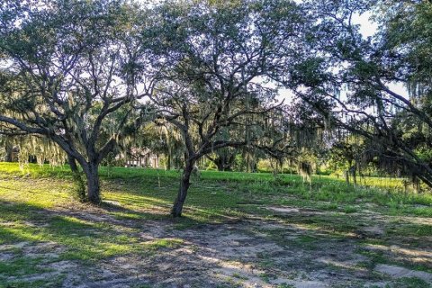 Land in Davenport, Florida № 1385535 - photo 14