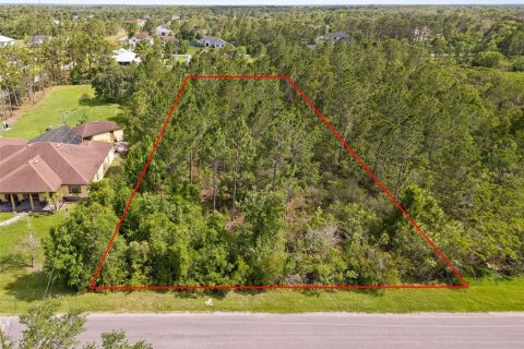 Land in Orlando, Florida № 2106988 - photo 2