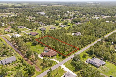 Land in Orlando, Florida № 2106988 - photo 6