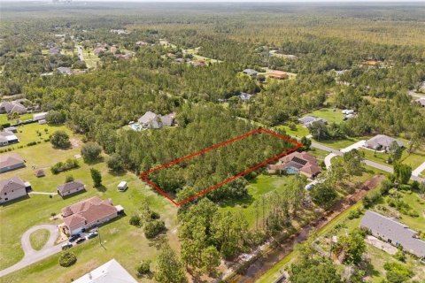 Land in Orlando, Florida № 2106988 - photo 7