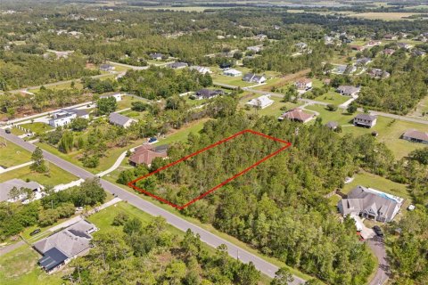Land in Orlando, Florida № 2106988 - photo 4