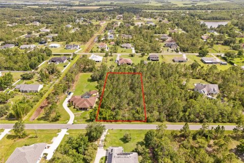 Land in Orlando, Florida № 2106988 - photo 5