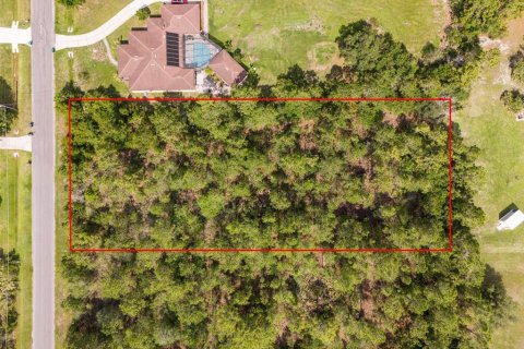 Terrain à Orlando, Floride № 2106988