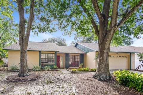 Casa en alquiler en Brandon, Florida, 4 dormitorios, 185.43 m2 № 1905070 - foto 1