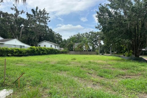 Land in Orlando, Florida № 1832908 - photo 1