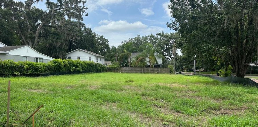 Land in Orlando, Florida № 1832908