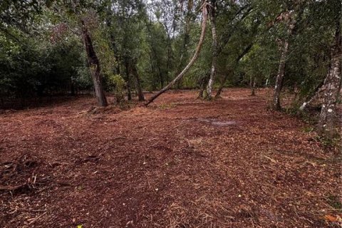 Terreno en Port Charlotte, Florida № 2231325