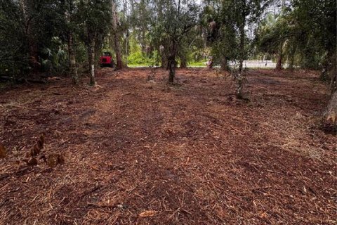 Land in Port Charlotte, Florida № 2231325 - photo 8