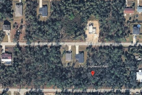 Land in Port Charlotte, Florida № 2231325 - photo 2