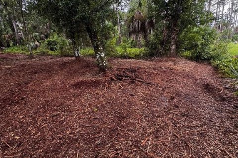 Land in Port Charlotte, Florida № 2231325 - photo 6