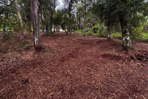 Land in Port Charlotte, Florida № 2231325 - photo 5