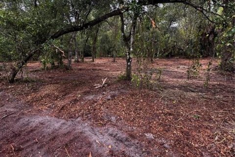 Land in Port Charlotte, Florida № 2231325 - photo 3