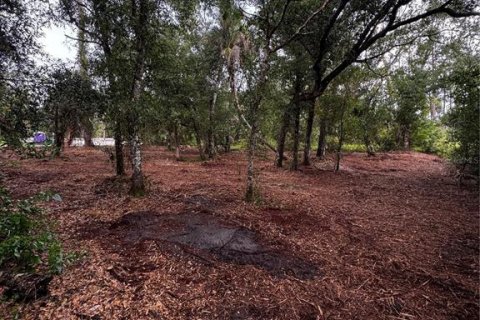 Land in Port Charlotte, Florida № 2231325 - photo 7