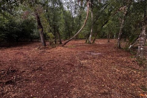 Land in Port Charlotte, Florida № 2231325 - photo 4