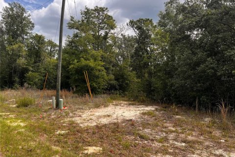 Land in Citrus Springs, Florida № 2159853 - photo 6